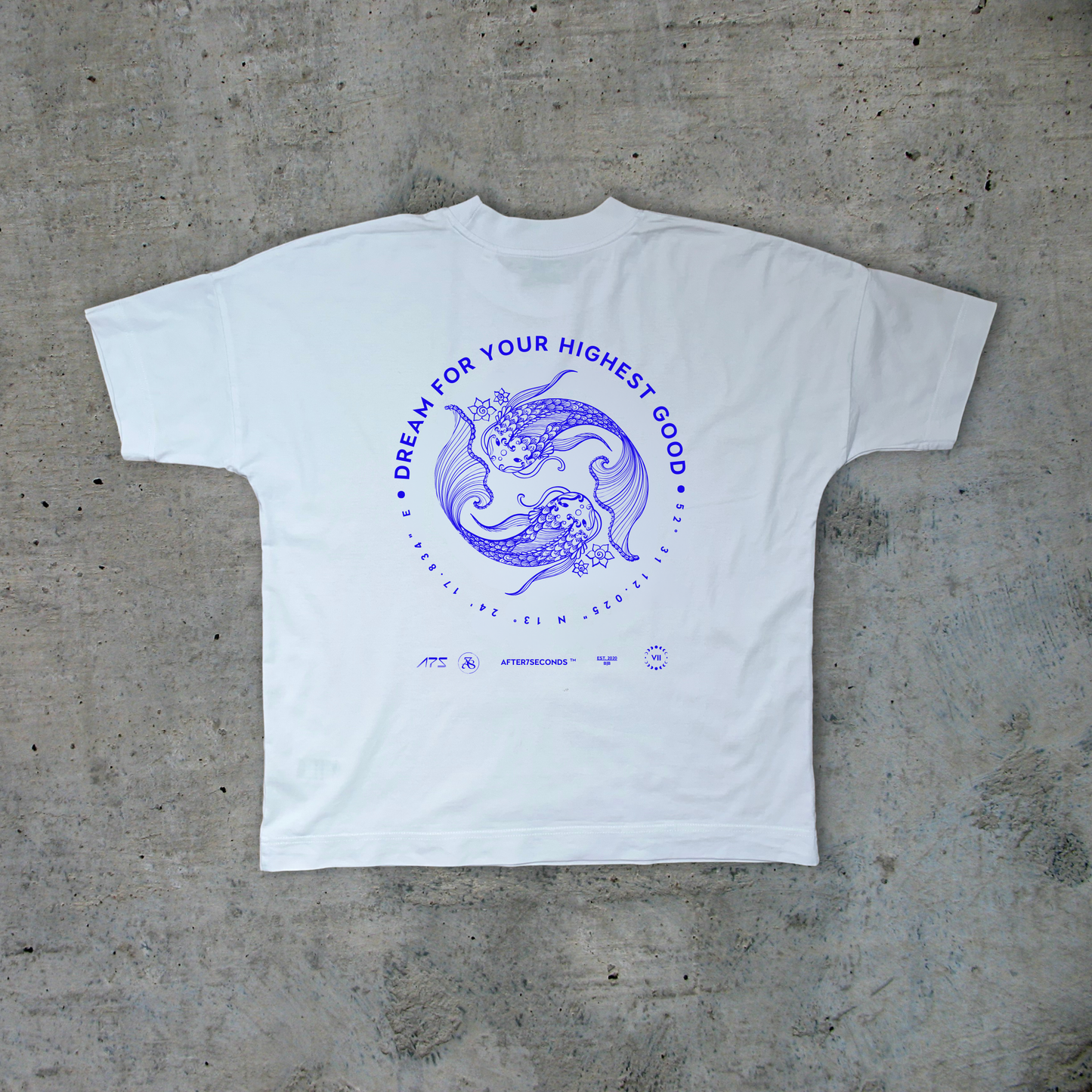 Dream For Your Highest Good Oversized T-Shirt